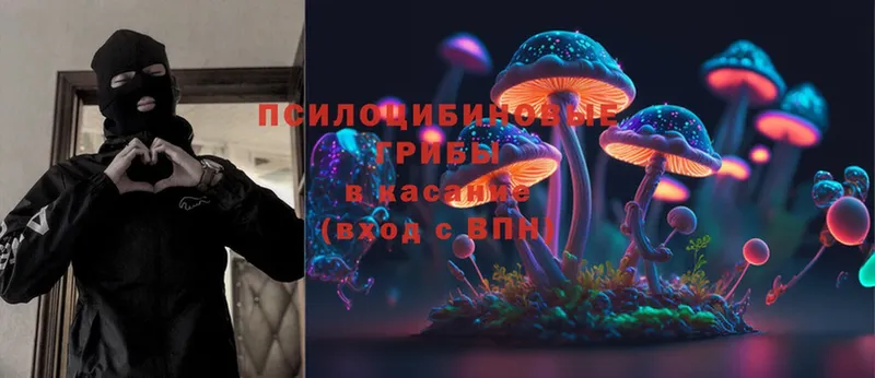 mega   Южно-Сахалинск  Галлюциногенные грибы MAGIC MUSHROOMS 